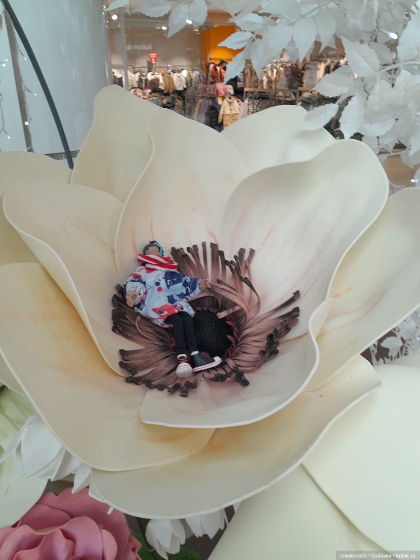 Ну вот мы и прилетели в Новосибирск