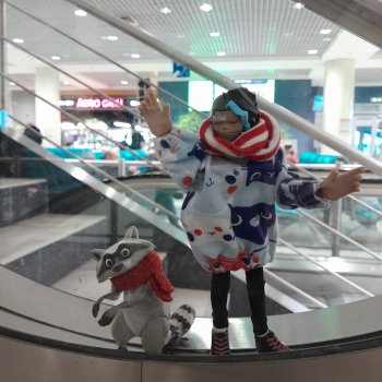 Ну вот мы и прилетели в Новосибирск .