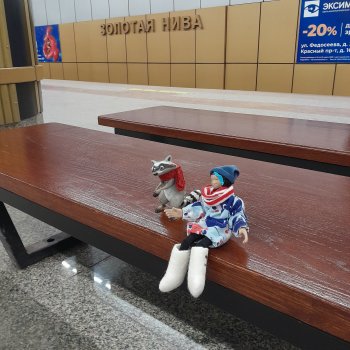 Гуляем с Руби и Енотиком.