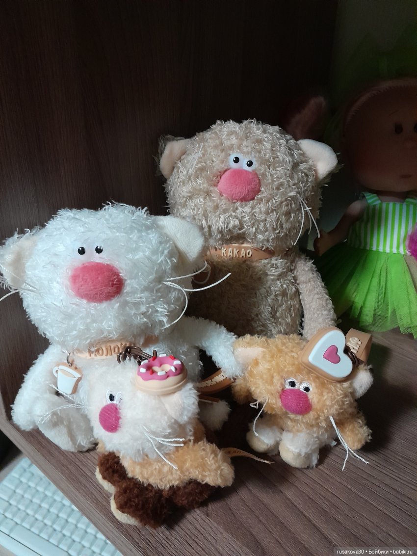 Кофейные котики гуляют где хотят