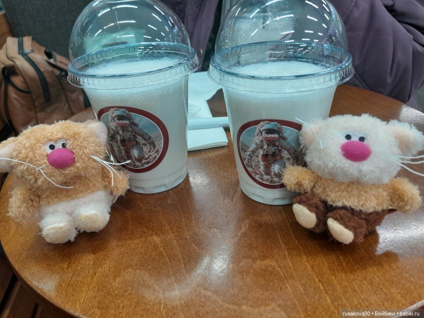 Кофейные котики гуляют где хотят (фото 10)