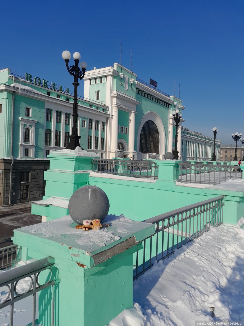 Кофейные котики гуляют где хотят (фото 3)