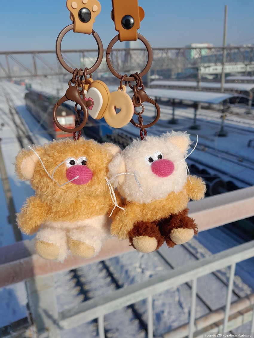 Кофейные котики гуляют где хотят (фото 2)