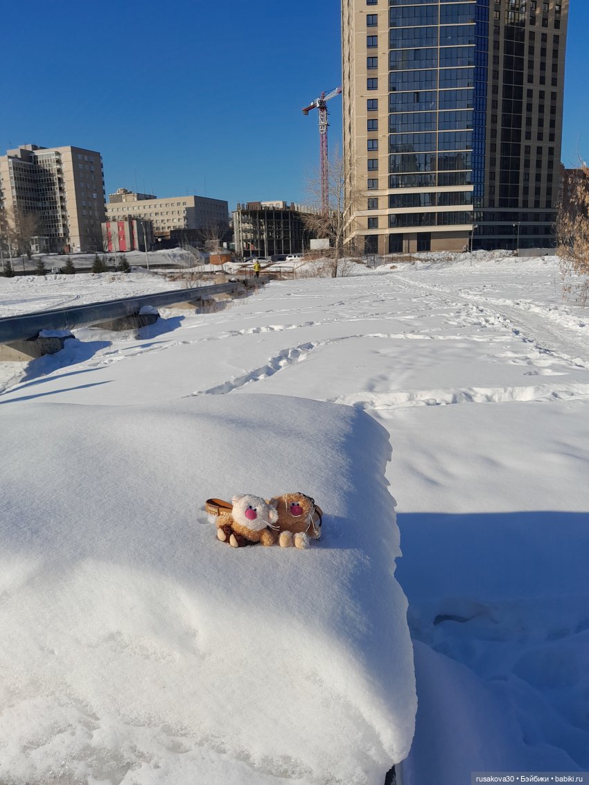 Кофейные котики гуляют где хотят