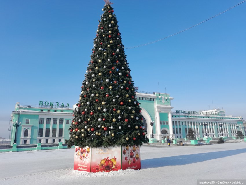 Кофейные котики гуляют где хотят (фото 4)