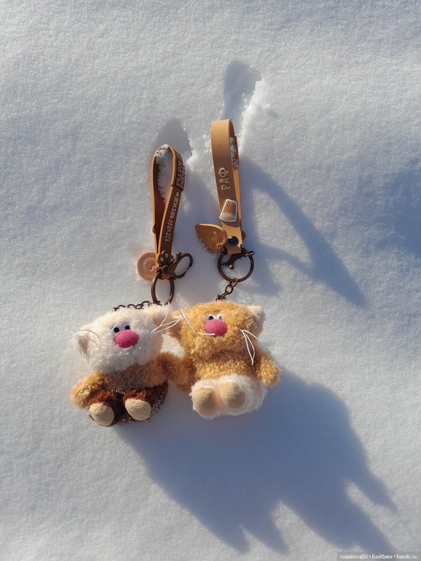 Кофейные котики гуляют где хотят