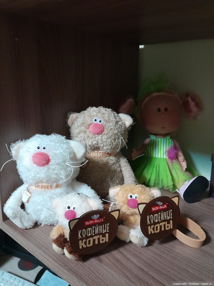 Кофейные котики гуляют где хотят