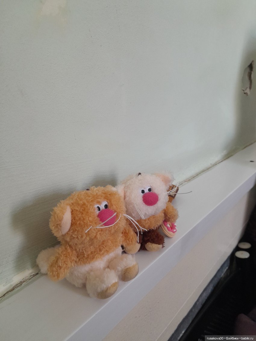 Кофейные котики гуляют где хотят (фото 8)