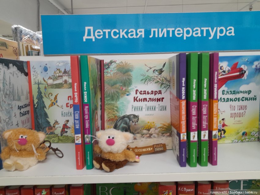 Кофейные котики гуляют где хотят