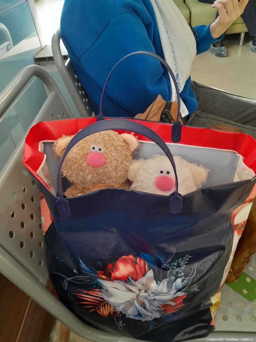 Кофейные котики гуляют где хотят