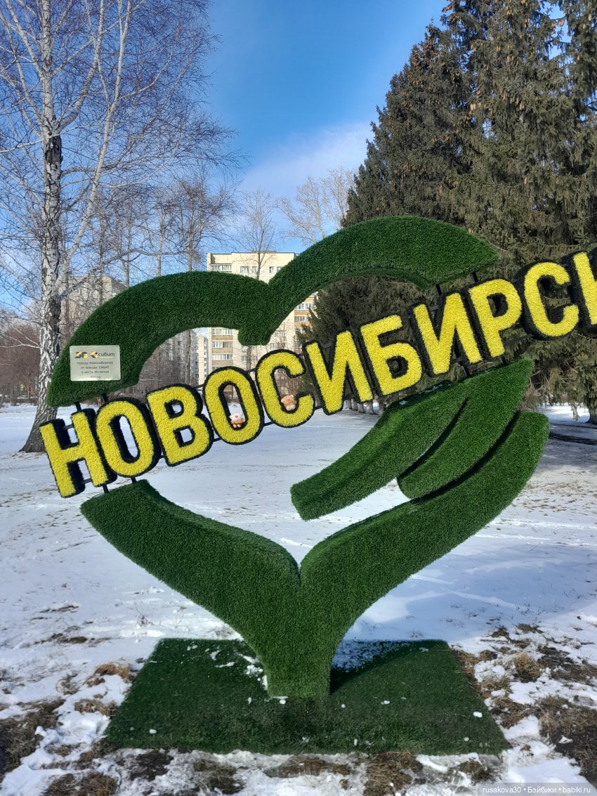 Кофейные котики гуляют где хотят