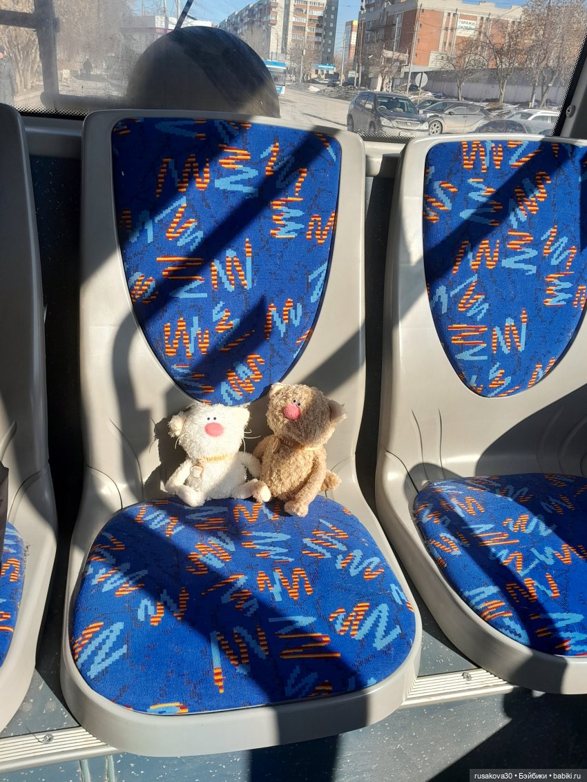 Кофейные котики гуляют где хотят