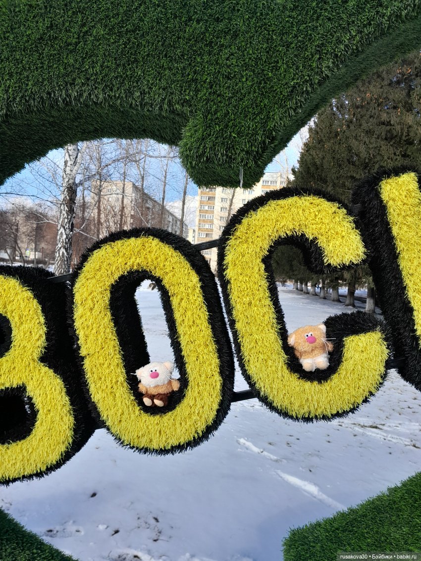 Кофейные котики гуляют где хотят