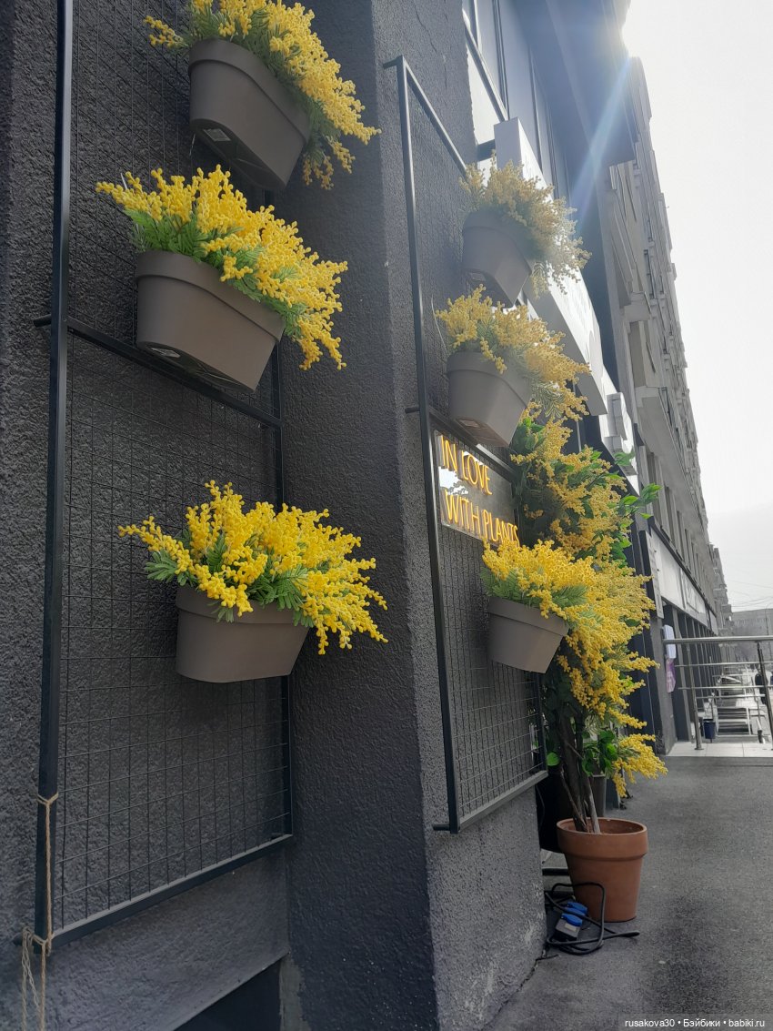 Как мы весну искали — Экшн