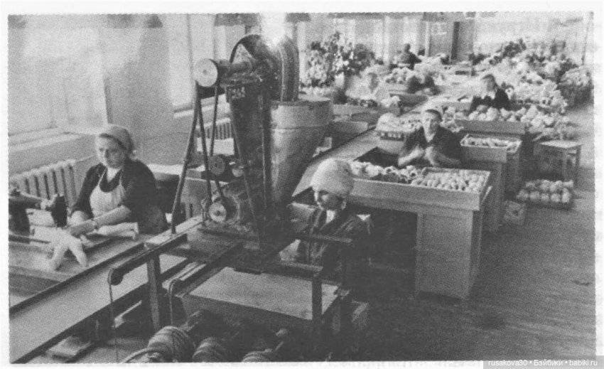 Сделано в СССР — Игрушки СССР и советского детства: резиновые