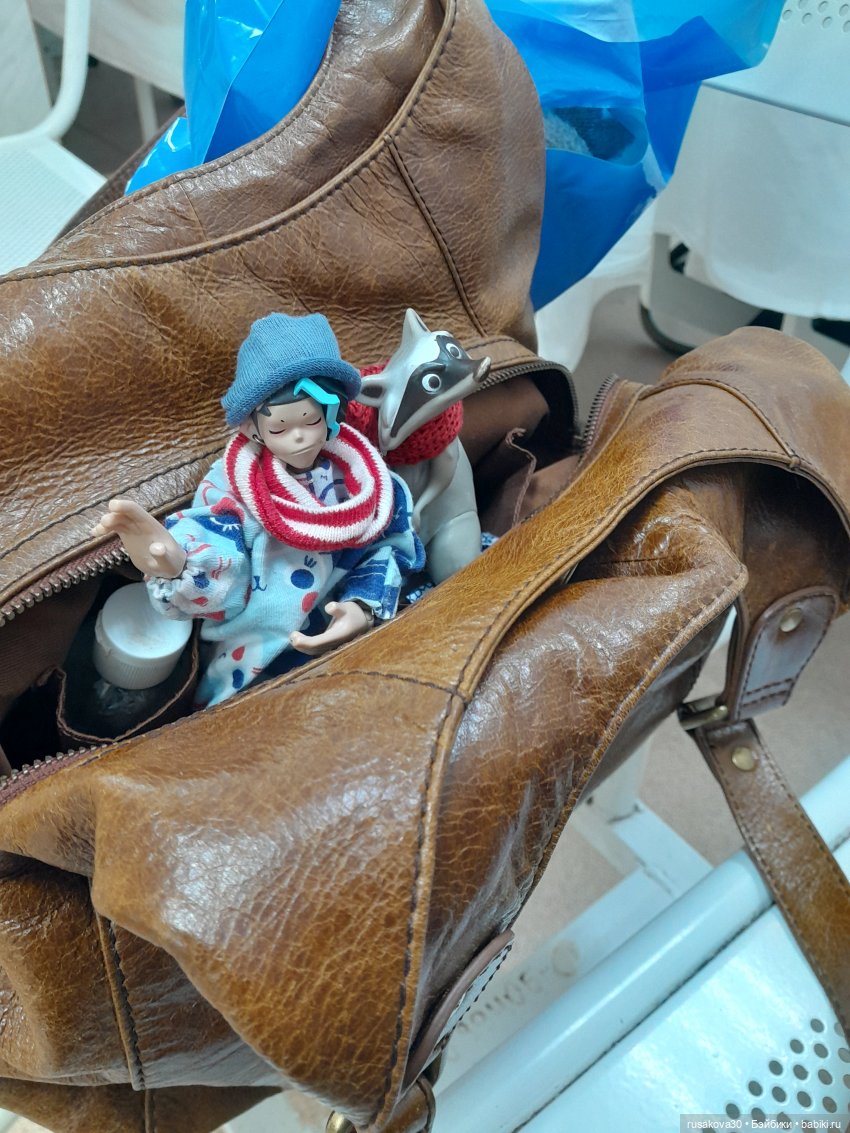 Новосибирск глазами Руби и Енотика