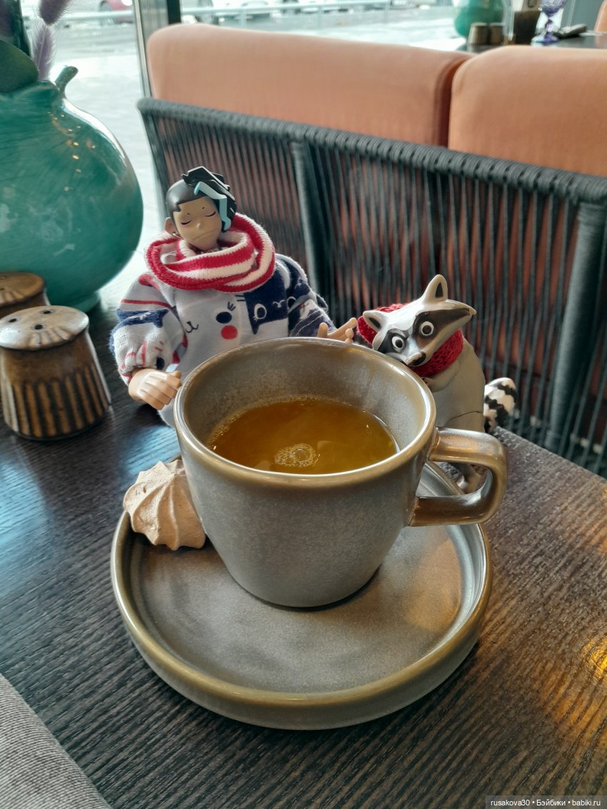 Новосибирск глазами Руби и Енотика