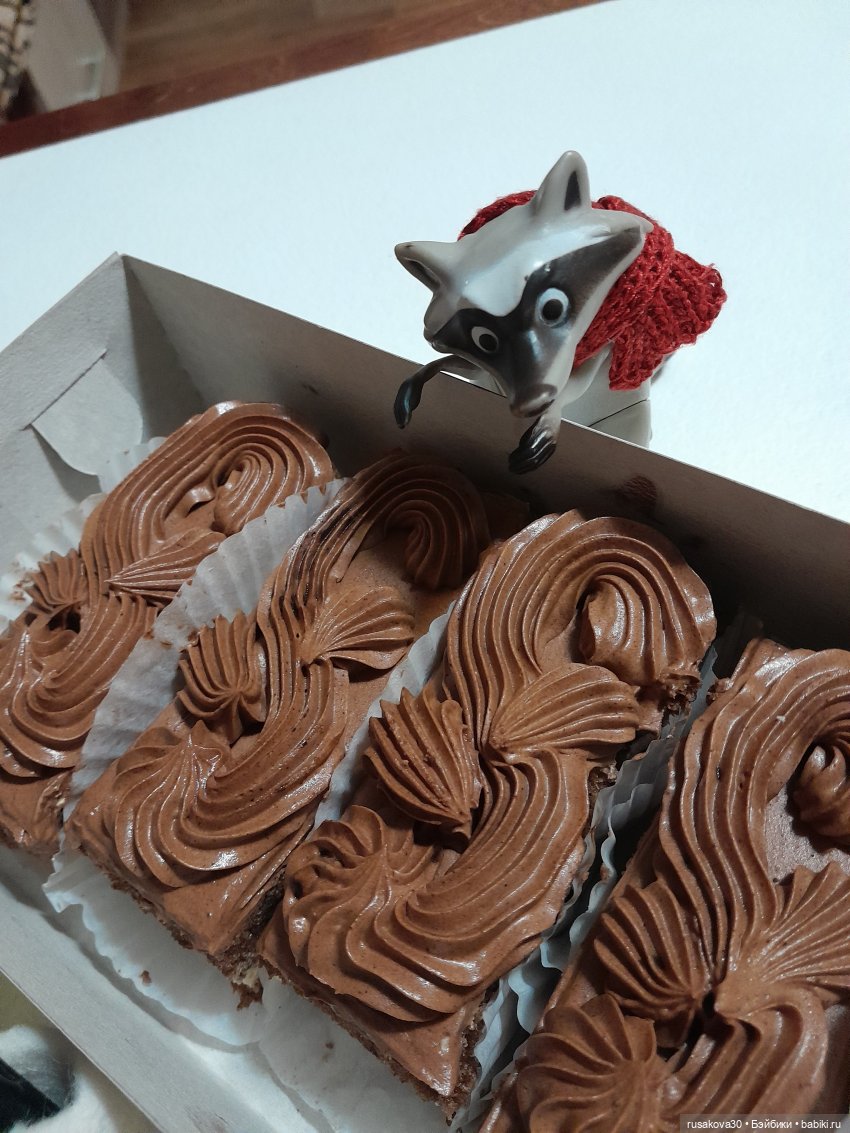 Новосибирск глазами Руби и Енотика