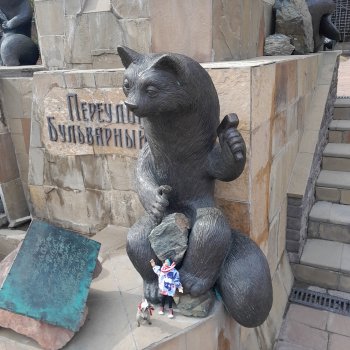 Новосибирск глазами Руби и Енотика.