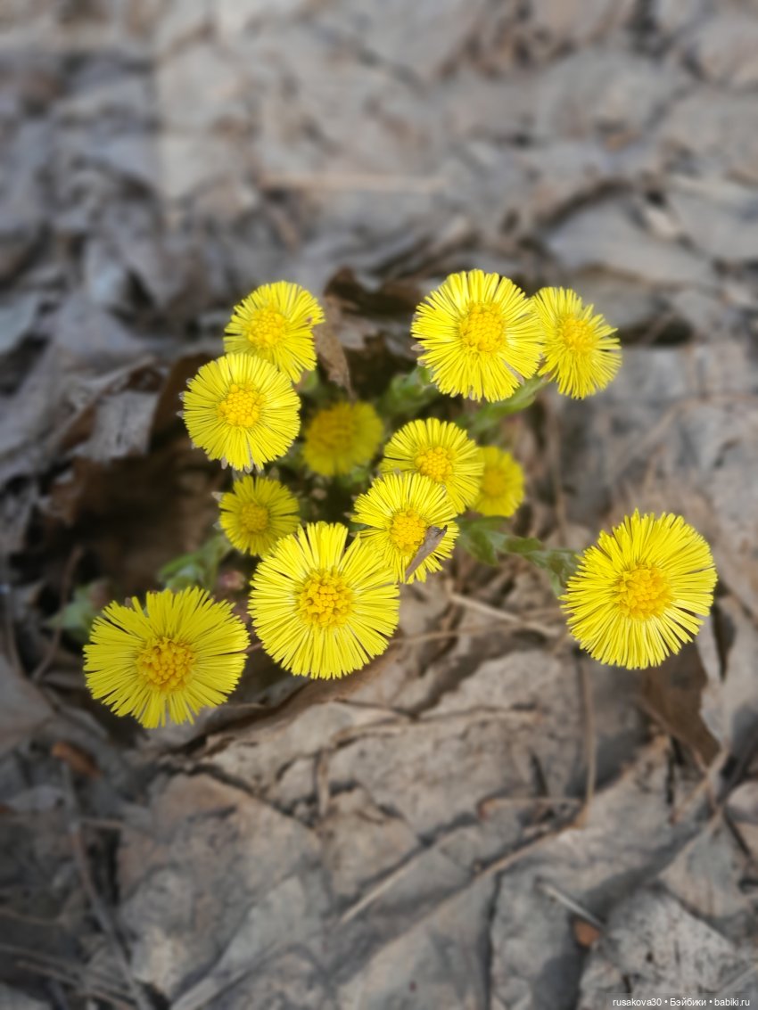 Зима вернулась — Авторские мишки Тедди и друзья: фото