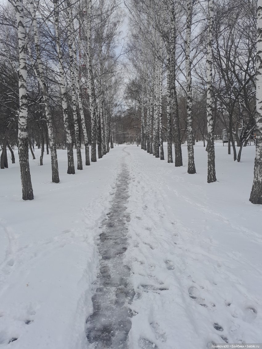 Зима вернулась — Авторские мишки Тедди и друзья: фото