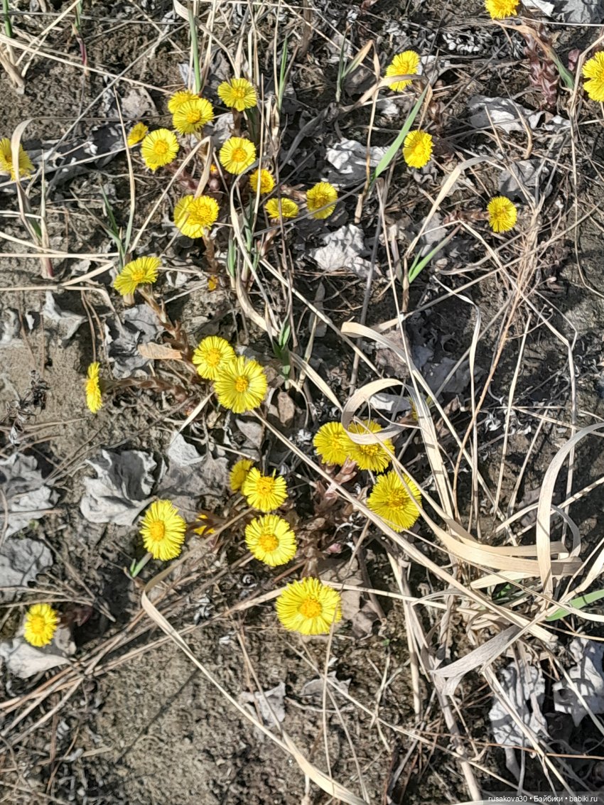 Зима вернулась — Авторские мишки Тедди и друзья: фото
