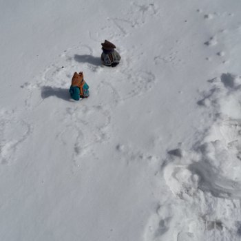 Зима вернулась ?