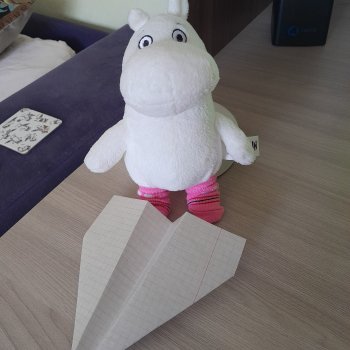 День бумажного самолетика .