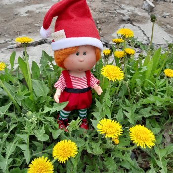 Солнышко приехало.