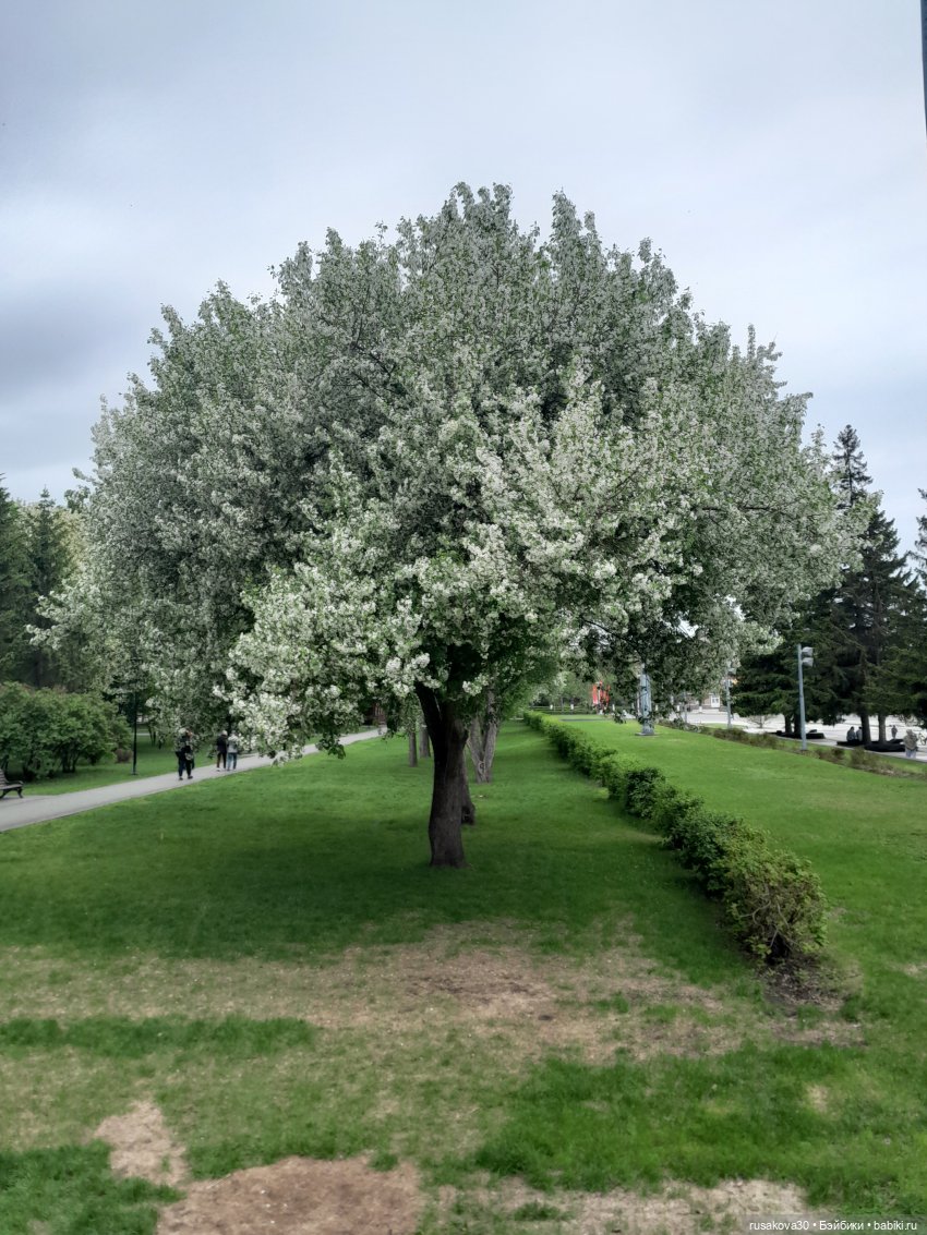 Яблони в цвету — Куклы Nines d'Onil (Нинес): Миа (Mia) (фото 5)