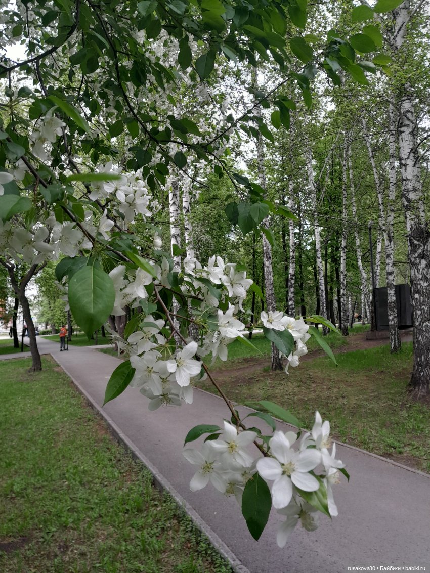 Яблони в цвету — Куклы Nines d'Onil (Нинес): Миа (Mia) (фото 2)