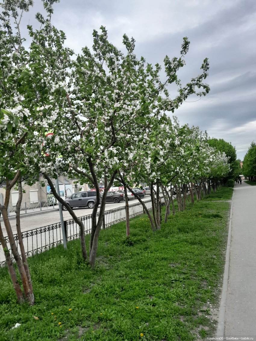 Яблони в цвету — Куклы Nines d'Onil (Нинес): Миа (Mia) (фото 3)