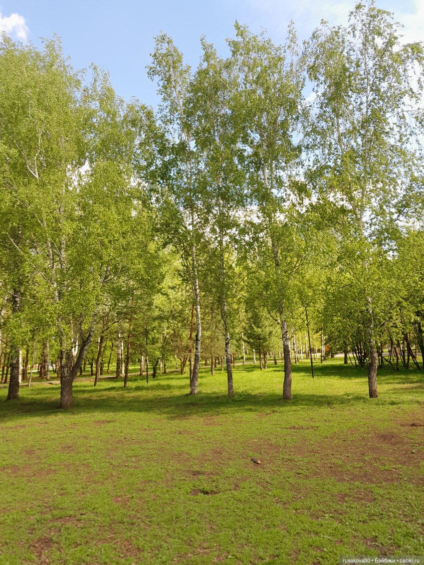 Руби гуляет — Экшн (фото 7)