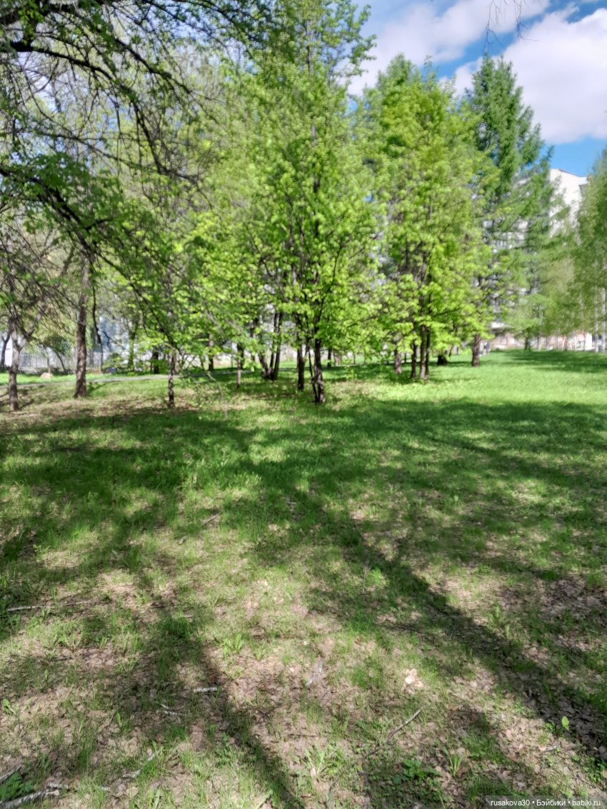 Руби гуляет — Экшн (фото 6)