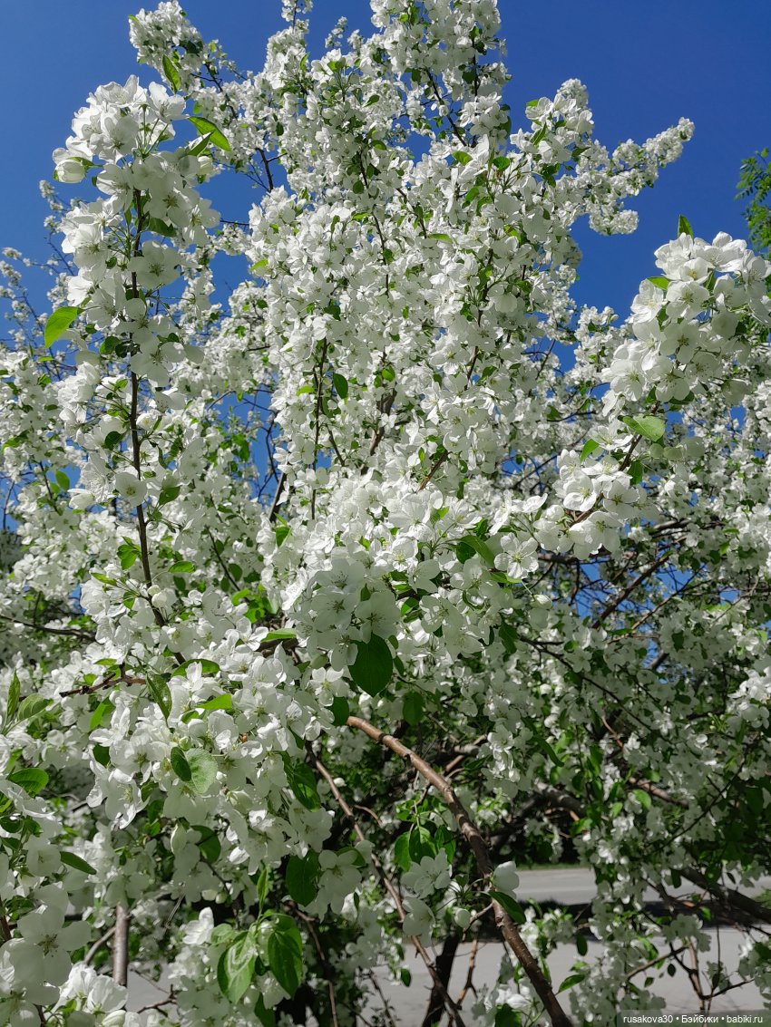 Руби гуляет — Экшн (фото 4)