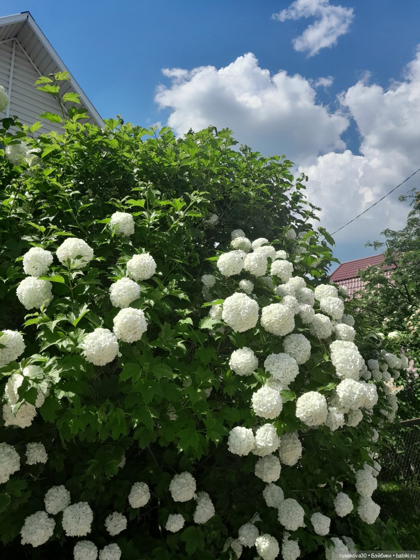 Как мы летом отдыхаем — Игровые куклы разных производителей (Разное): редкие бренды