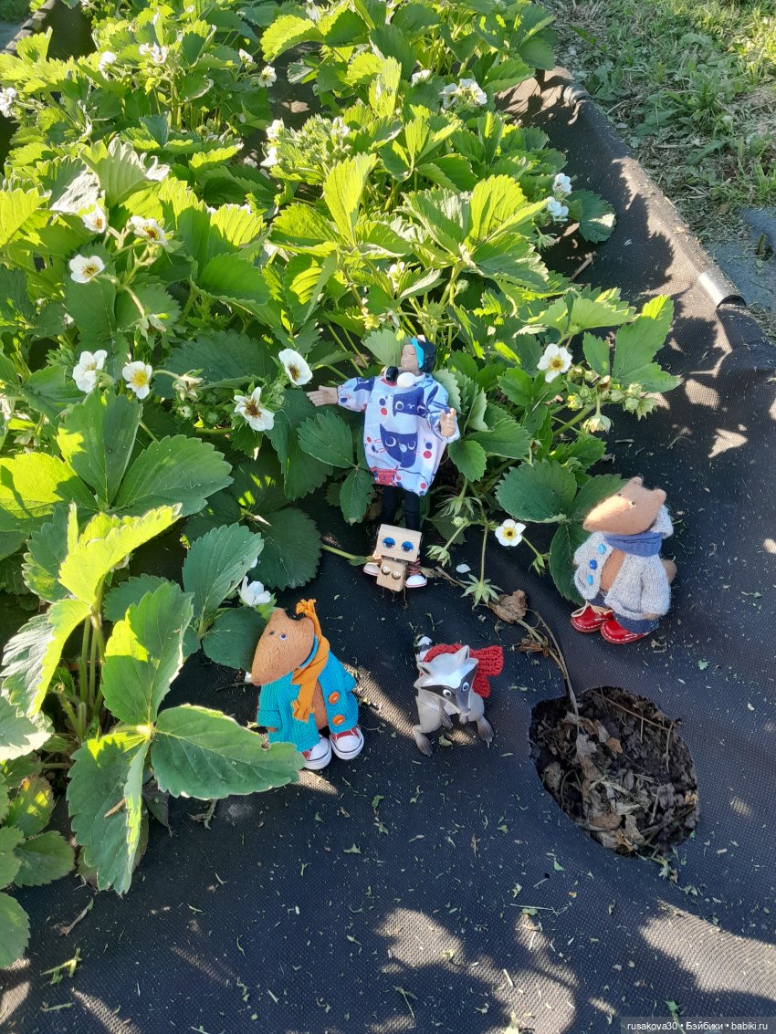 Как мы летом отдыхаем — Игровые куклы разных производителей (Разное): редкие бренды (фото 8)