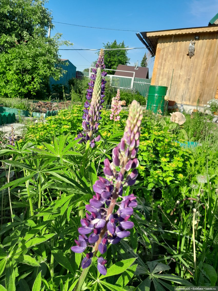 Как мы летом отдыхаем — Игровые куклы разных производителей (Разное): редкие бренды