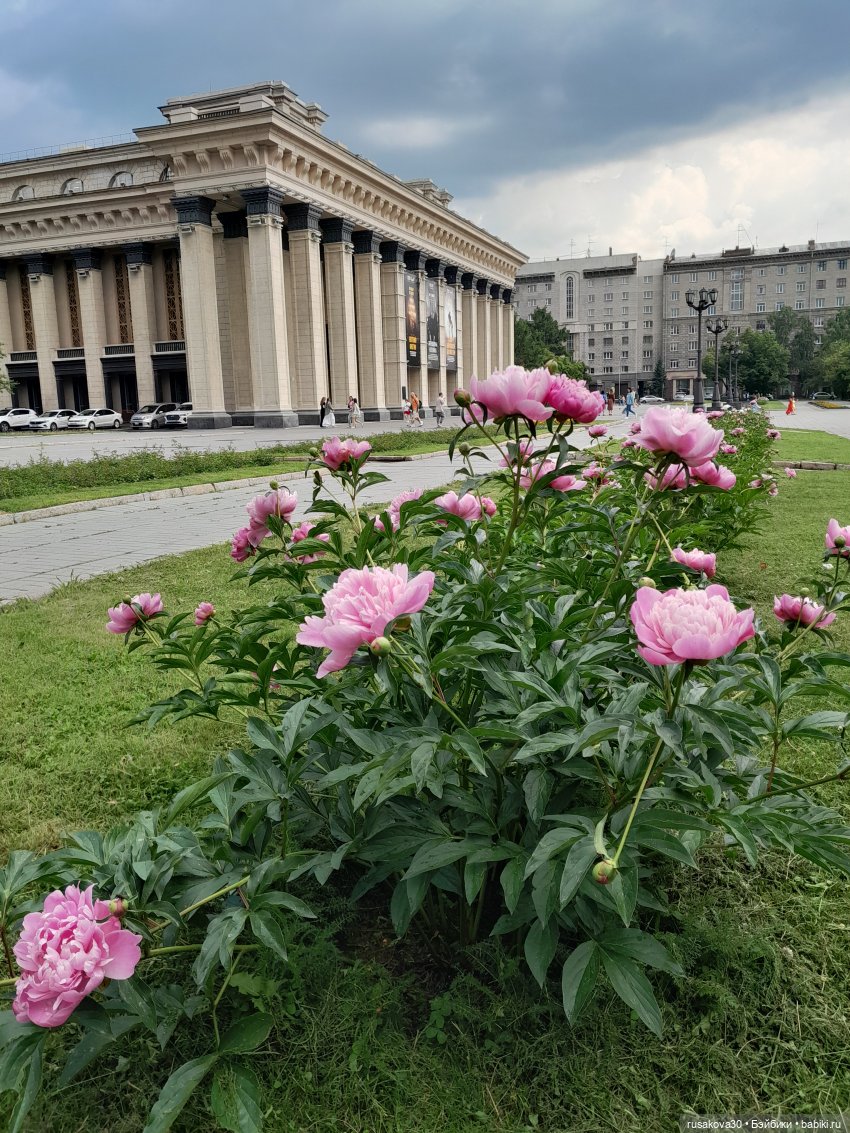 Как мы летом отдыхаем — Игровые куклы разных производителей (Разное): редкие бренды