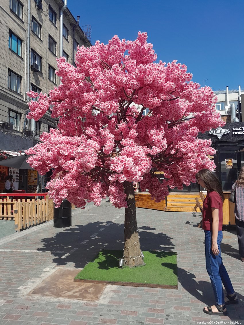 Прогулки с Руби и Енотиком