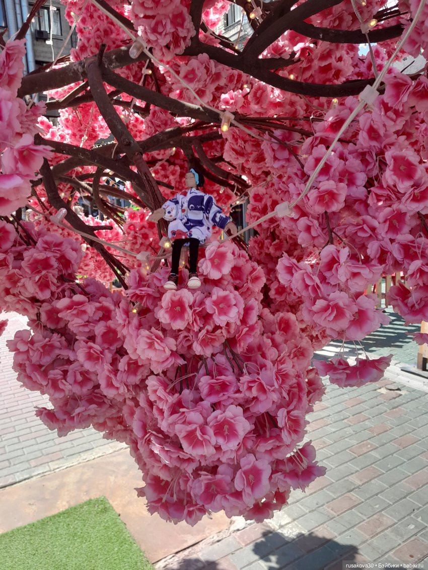 Прогулки с Руби и Енотиком