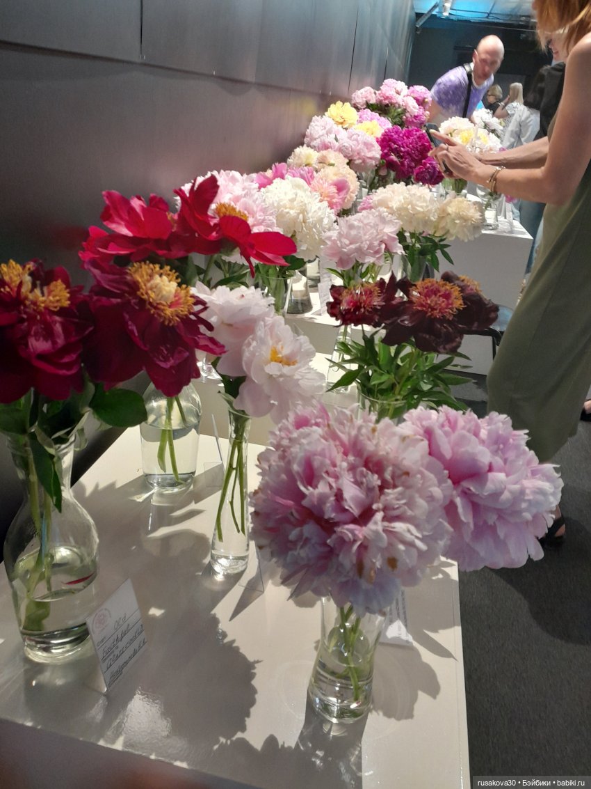 Прогулки с Руби и Енотиком (фото 9)