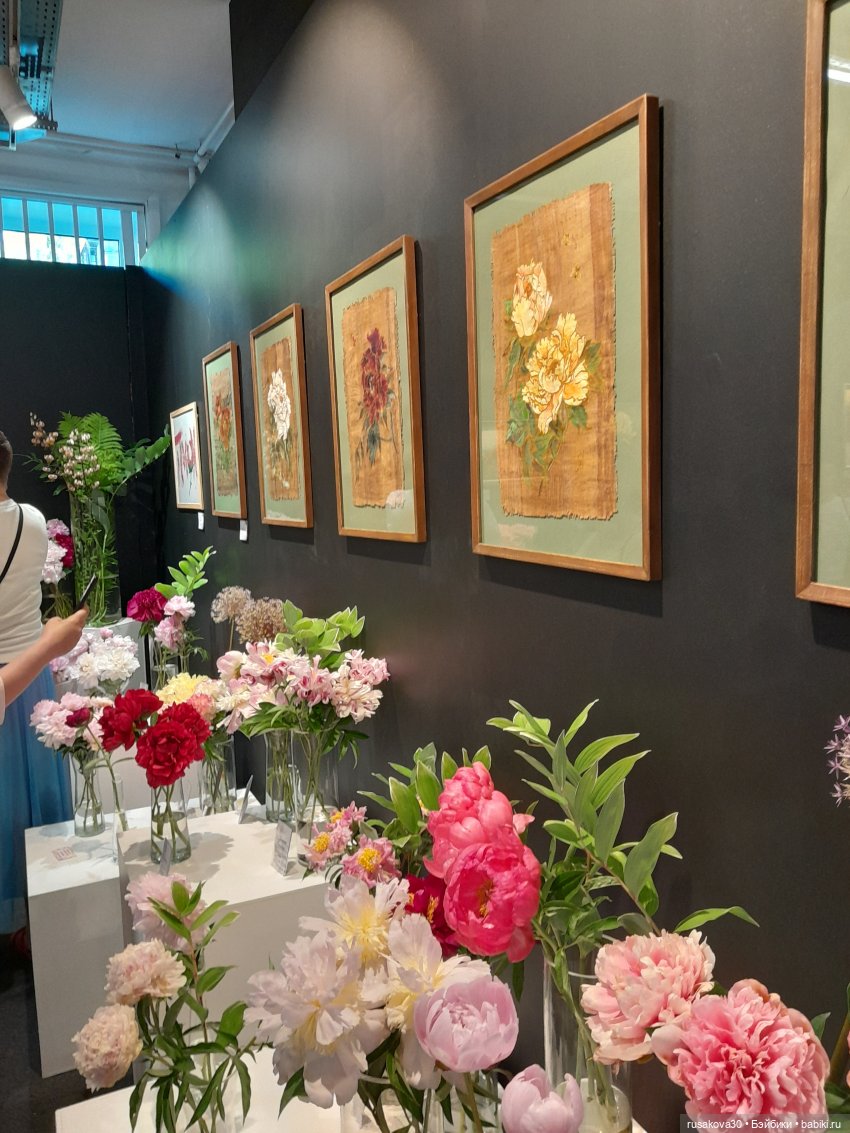 Прогулки с Руби и Енотиком