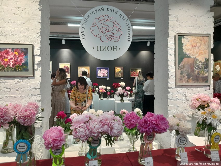 Прогулки с Руби и Енотиком (фото 6)