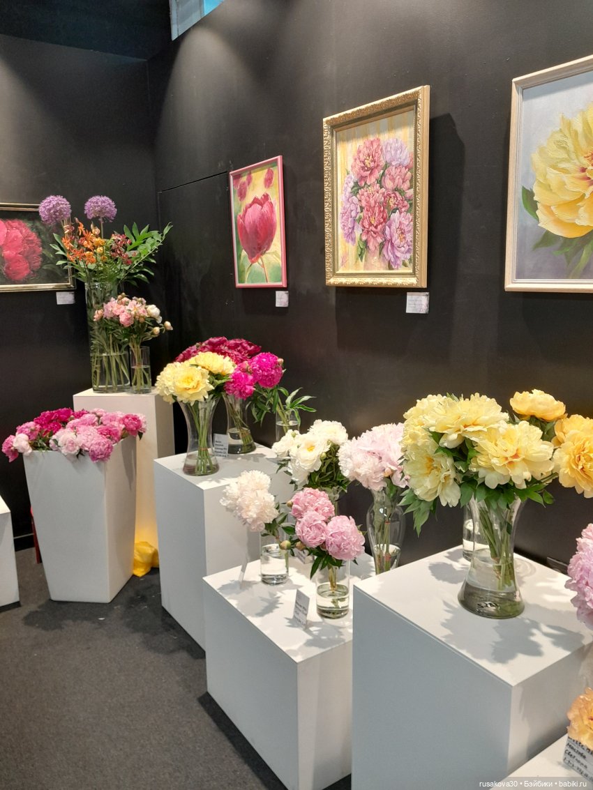 Прогулки с Руби и Енотиком