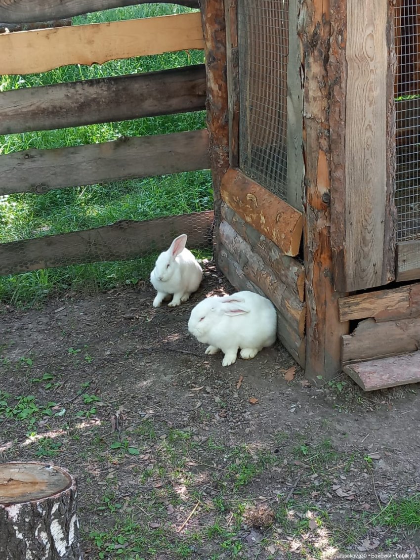 Испанцы в Мира парке — Куклы Nines d'Onil (Нинес): Миа (Mia)