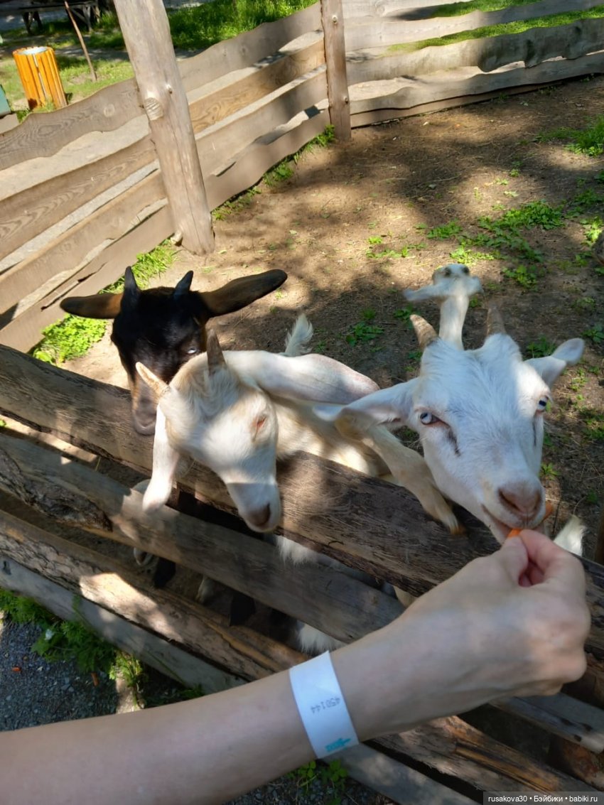 Испанцы в Мира парке — Куклы Nines d'Onil (Нинес): Миа (Mia)