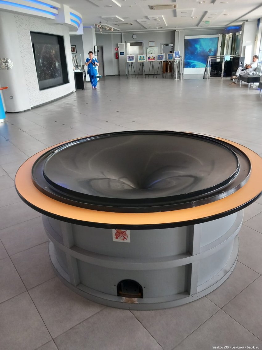 Людвиг и Нильс в планетарии