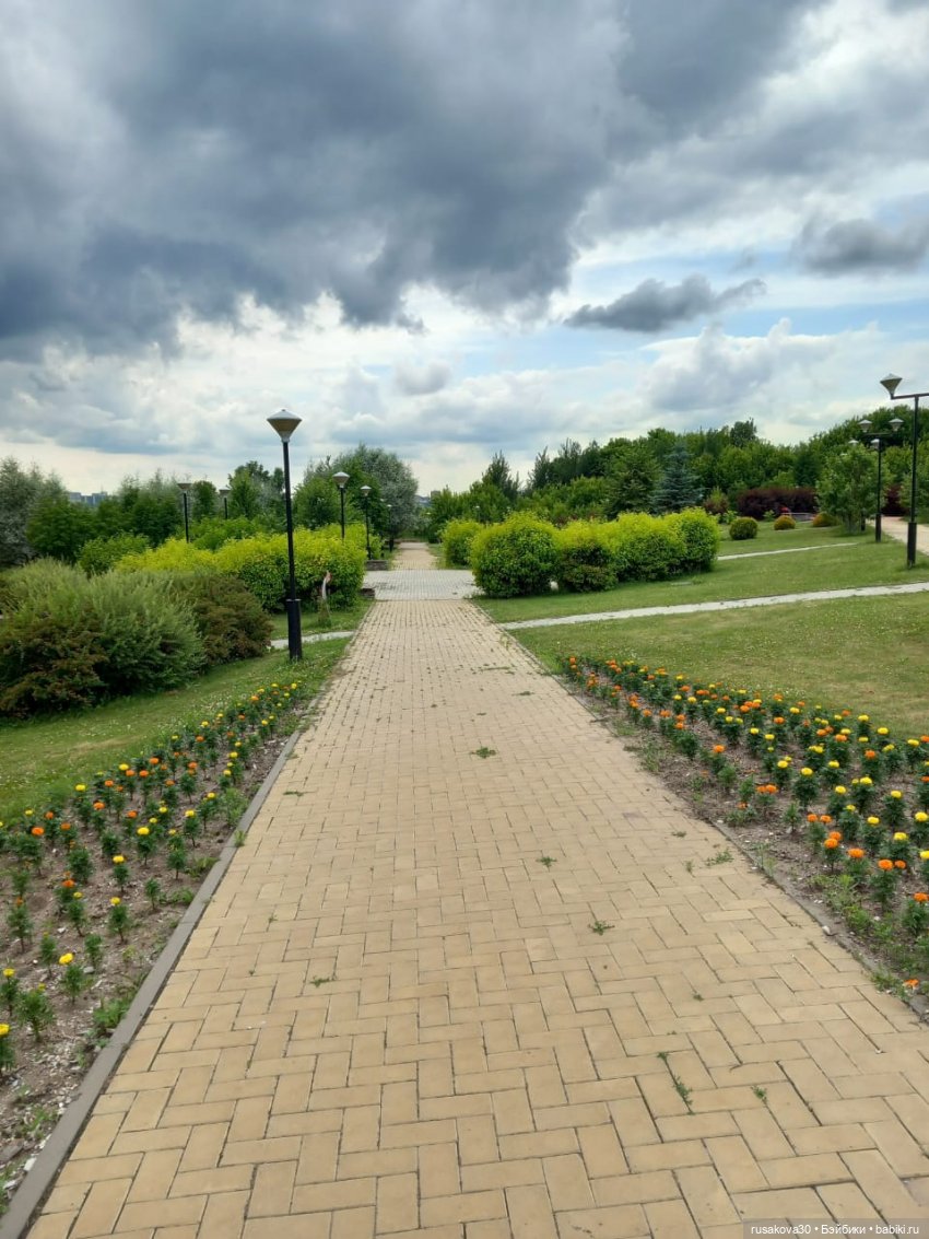 Людвиг и Нильс в планетарии (фото 5)