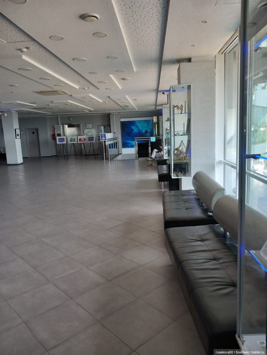 Людвиг и Нильс в планетарии